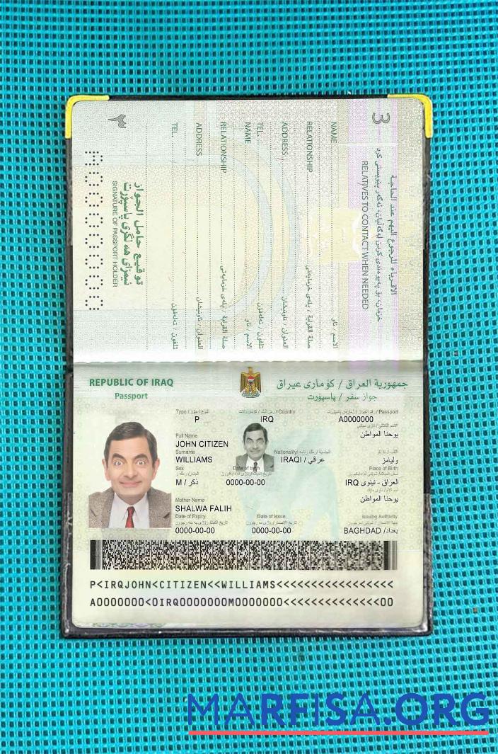 Blank Iraq passport photo look example